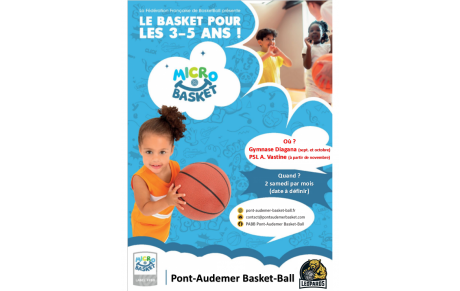Micro Basket